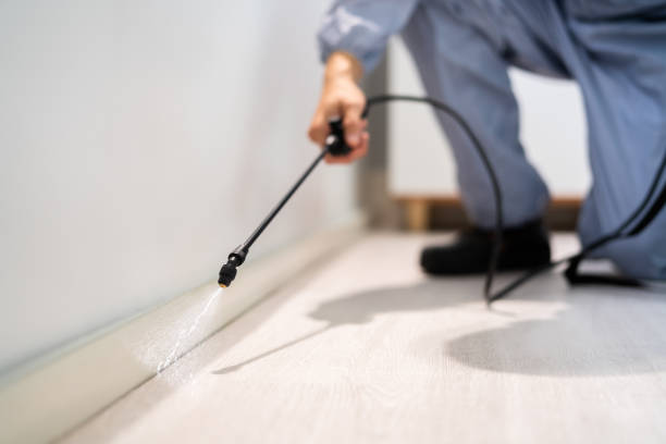 Licensed Termite Control service in Tybee Island, GA - Nex Pest Control