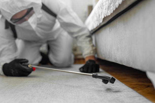 Professional Termite Control technician working in Tybee Island, GA