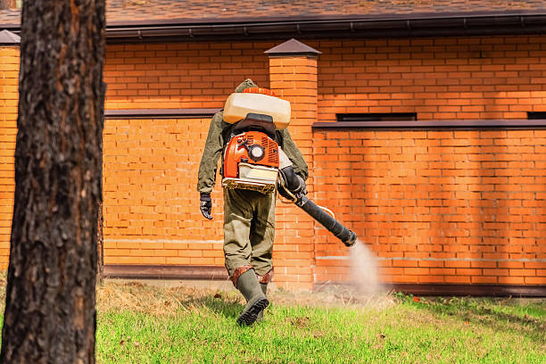 Trusted Termite Control service in Tybee Island, GA - Nex Pest Control